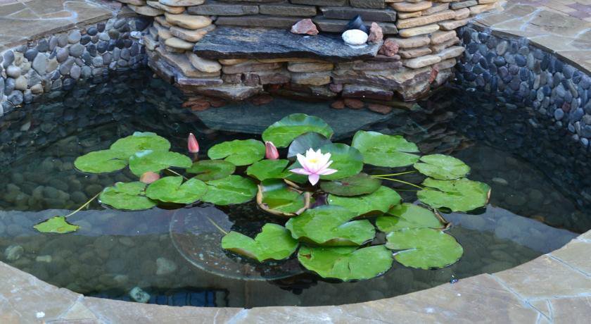 Гостиница Sali Guest House Севастополь-4